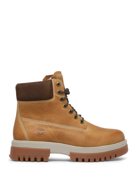 Boots Arbord Road En Cuir Timberland Marron men A5YKD231