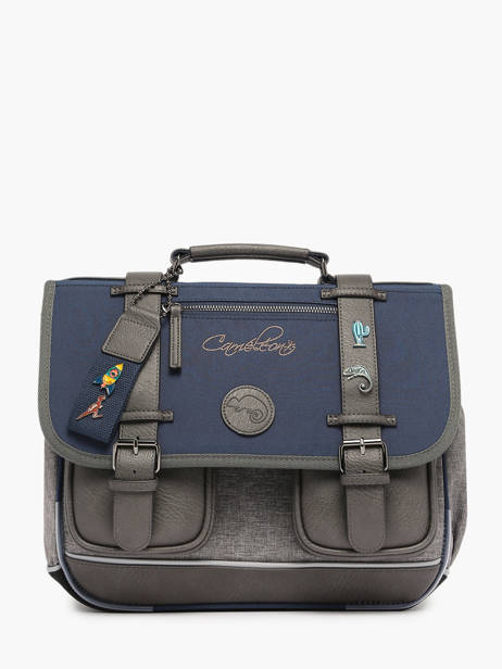2-compartment  Satchel Cameleon Violet vintage pin's CA35