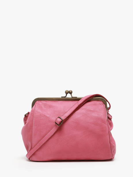 Sac Bandoulière Heritage Cuir Biba Rose heritage BT22 vue secondaire 4