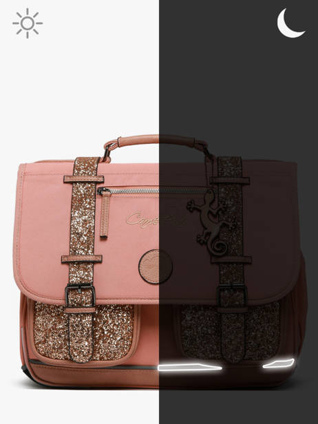 Satchel For Kids 3 Compartments Cameleon Pink vintage fantasy CA41 other view 7