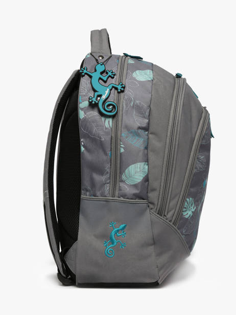 2-compartment Backpack Cameleon Gray actual PBBASD45 other view 2