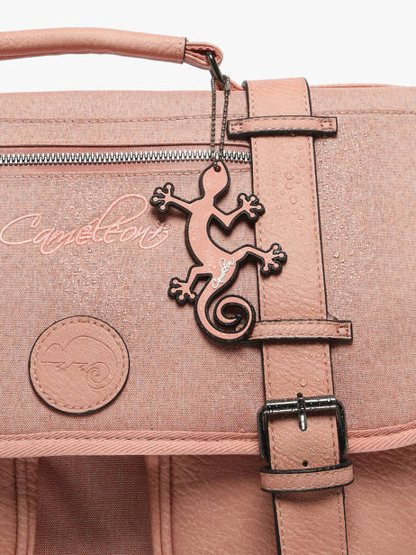 2-compartment Satchel Cameleon Pink vintage color CA146Q other view 6