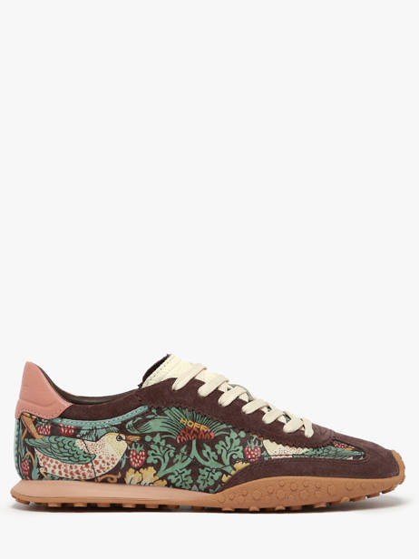 Sneakers Bridge Morris Brown Hoff Multicolor women 22561003