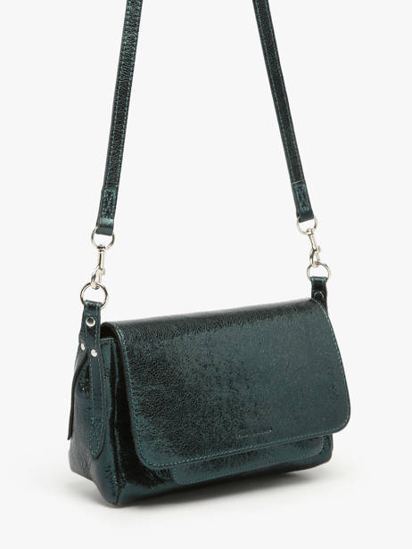 Small Leather Diane Minuit Crossbody Bag Paul marius Green minuit DIANSMIN other view 1
