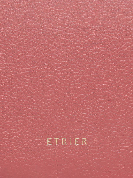 Sac Bandoulière M Tradition Cuir Etrier Rose tradition ETRA207M vue secondaire 5