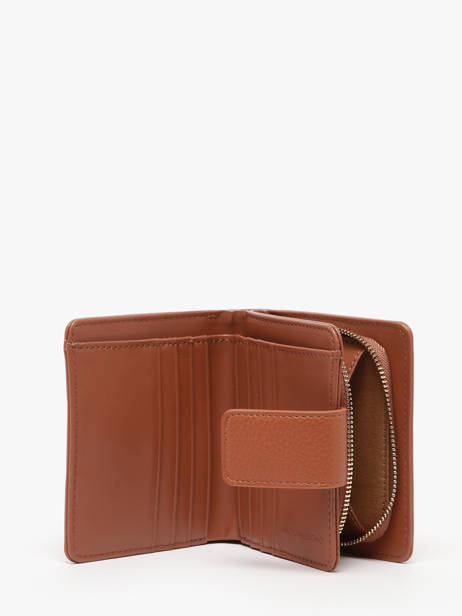 Coin Purse Alexia Valentino Brown alexia VPS58215 other view 1