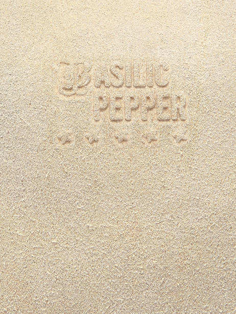 Sac Porté épaule Houston Cuir Basilic pepper Beige houston BHOU80 vue secondaire 4