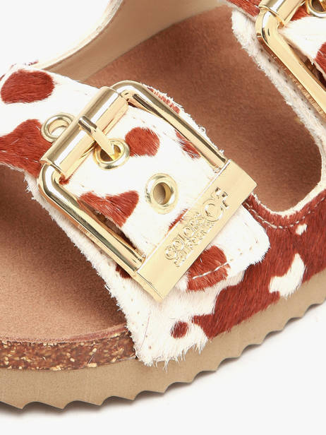 Sandals In Leather Colors of california Brown accessoires HCBIO502 other view 2