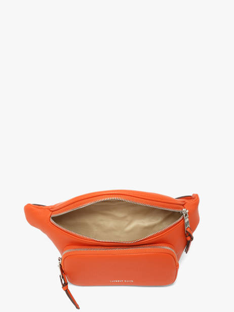 Sac Banane Estée Laurent david Orange ld bags 93 vue secondaire 2