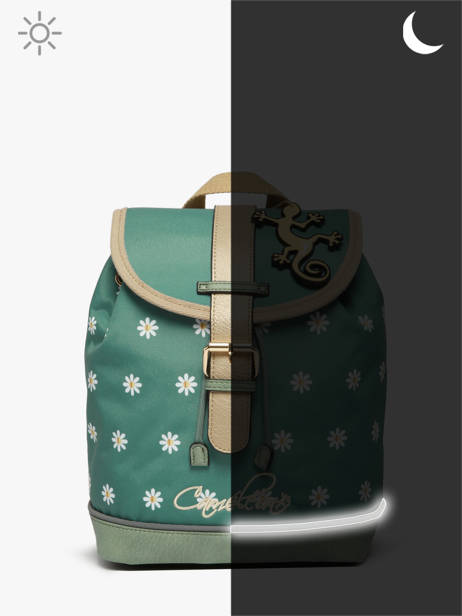 Sac à Dos 1 Compartiment Cameleon Green vintage fantasy PBVGSD25 other view 7