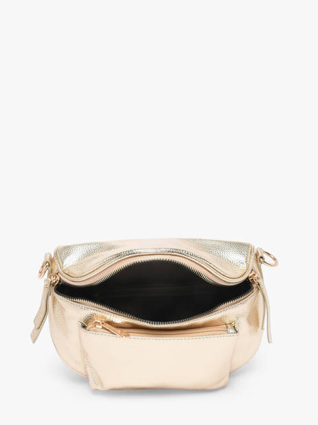 Belt Bag Miniprix Gold sangle 1 other view 2