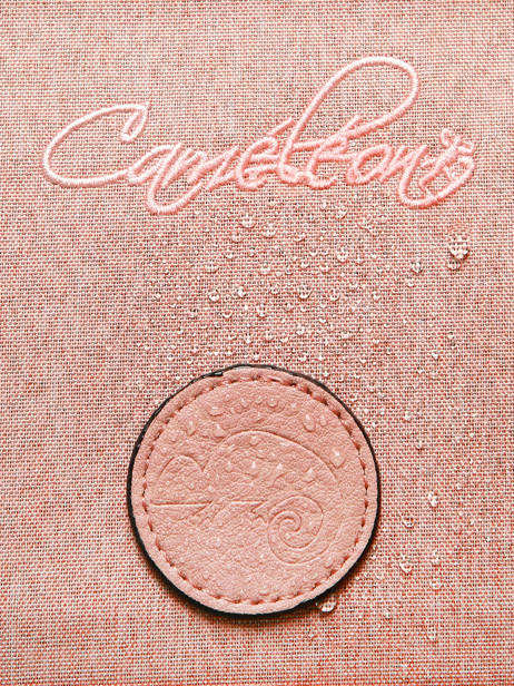 Cartable 2 Compartiments Vintage Color Cameleon Rose vintage color CA38 vue secondaire 6