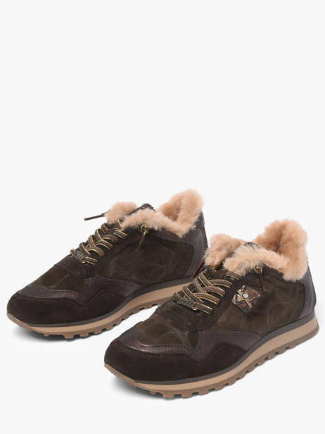 Sneakers Cetti Brown accessoires SRA other view 1