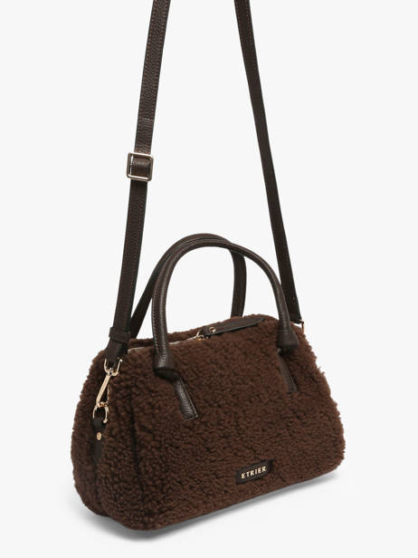 Crossbody Bag Amboise Leather Etrier Brown amboise EAMB220S other view 3