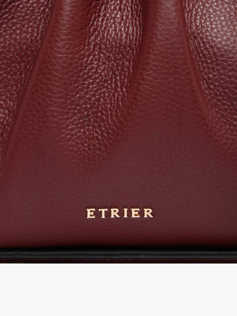 Satchel Foudre Leather Etrier Red foudre EFOD238M other view 4