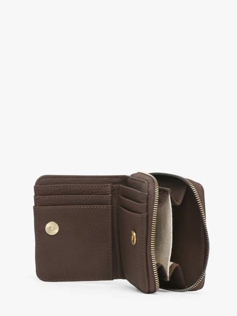 Coin Purse Woomen Brown camomille WCAO95 other view 1