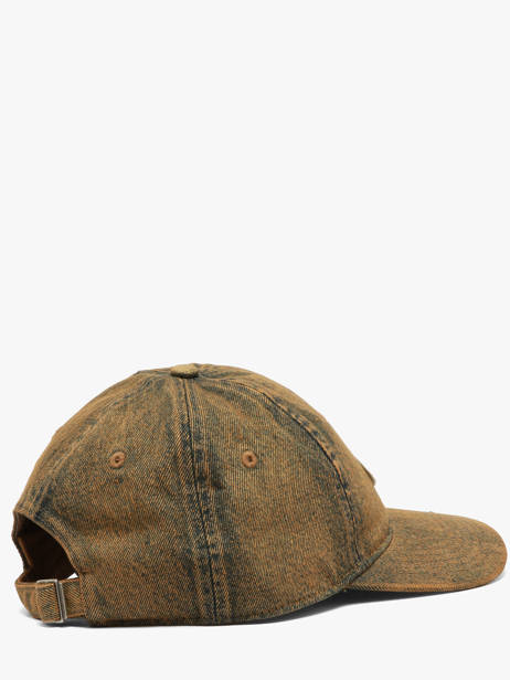 Cap Edgewood Dickies Brown accessoires DK0A8DN8 other view 2
