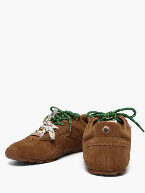 Sneakers En Cuir Steve madden Marron women 11005159 vue secondaire 2