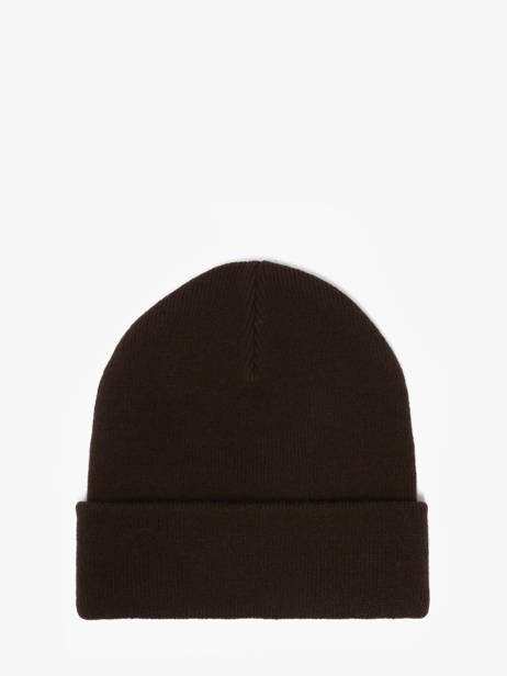 Beanie Dickies Brown accessoires DK0A4X7K other view 2