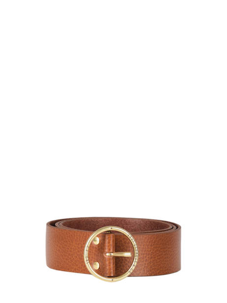 Ceinture Levi's Marron accessoires 228952