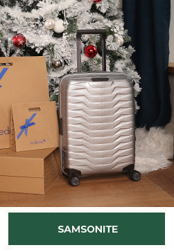 bagages samsonite